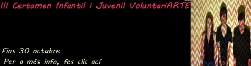 concurs voluntariat